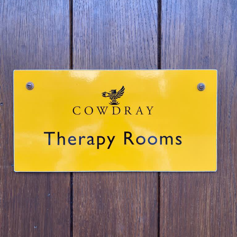 Therapy-Door